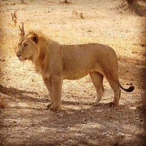 Meet your Posher, Joe